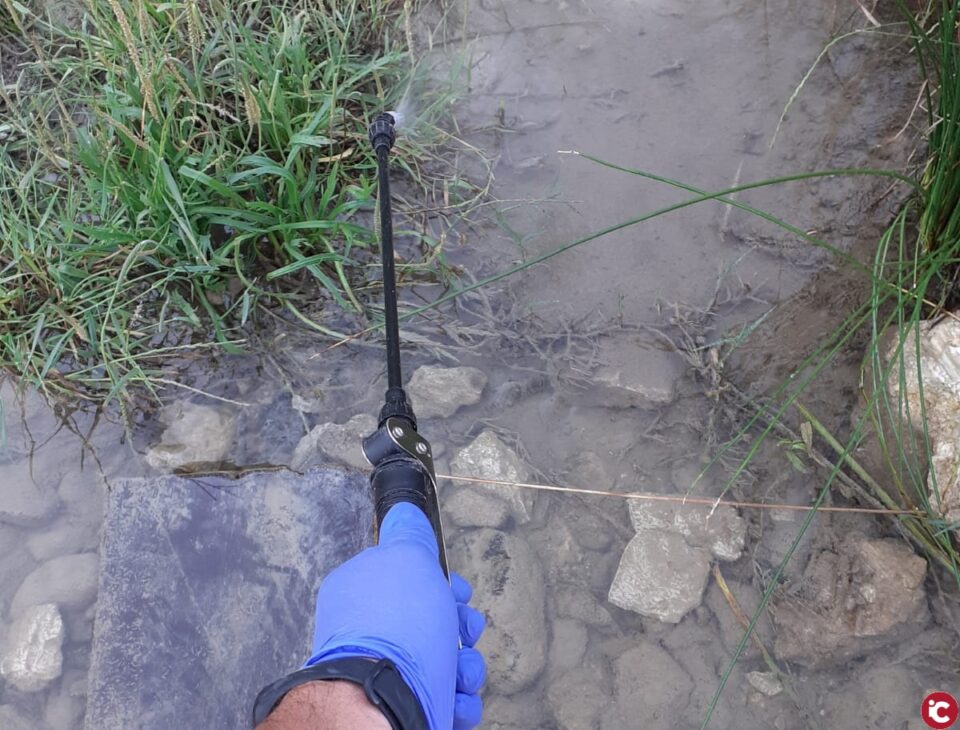 Xixona destina más de 3.000 euros para acabar con el mosquito tigre y otros dípteros