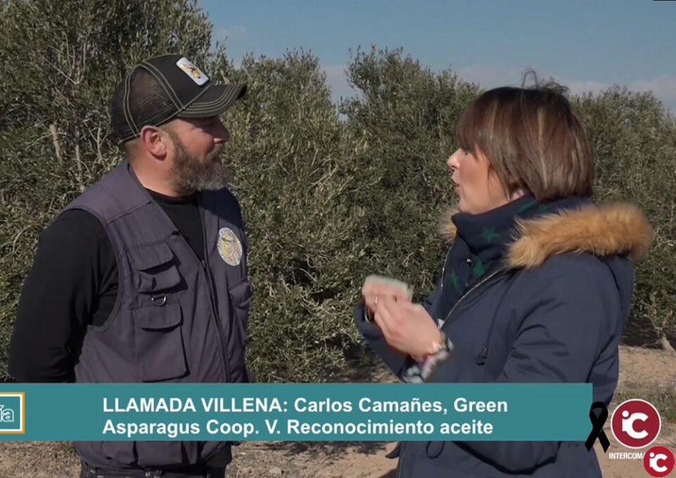 Reconocimiento al zumo de oliva de Villena