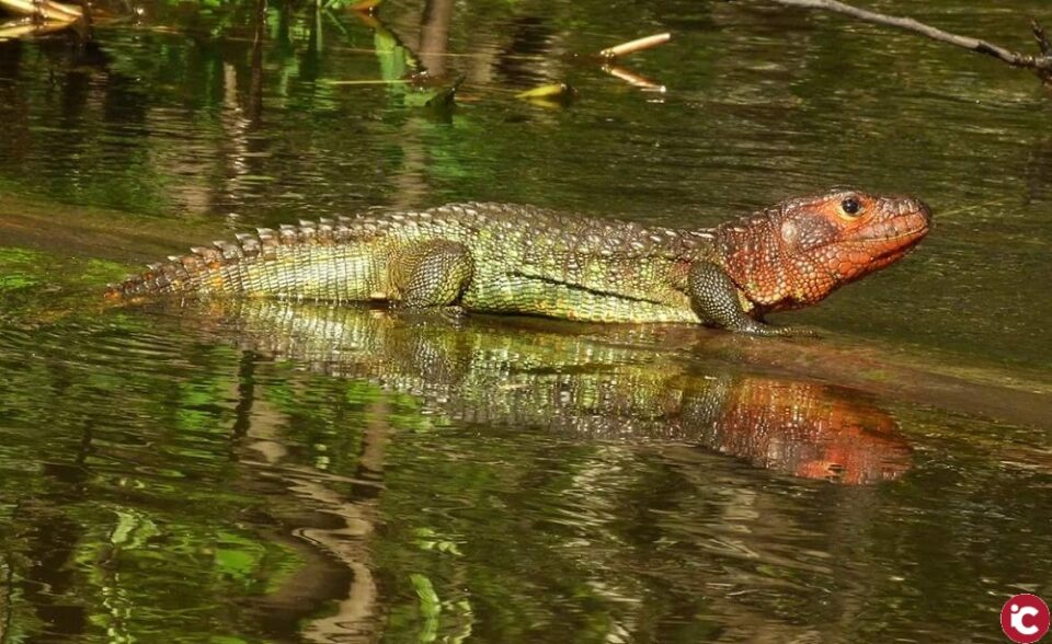 El científic de la UA Eduardo Galante