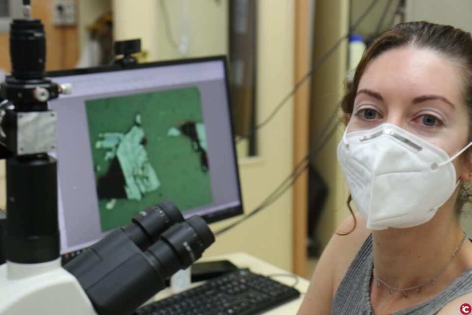 La Universitat d'Alacant destina 2 milions d'euros al foment de la investigació científica