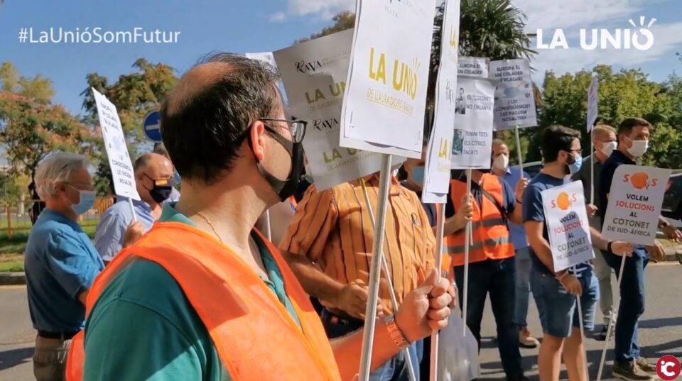 LA UNIÓ-AVA: Divendres van reclamar a València eines per a frenar el Cotonet de Sud-àfrica i compensacions pels 120 milions de pèrdues