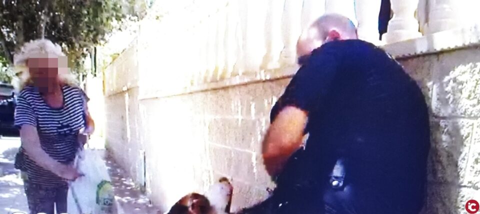 La Policía Local detiene a un hombre por un presunto delito de exhibicionismo delante de cuatro menores y atentado contra la autoridad en la playa de San Juan en Alicante