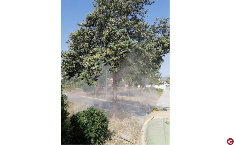 El Ayuntamiento de Aspe intensifica la lucha contra los mosquitos en Río y zonas ajardinadas