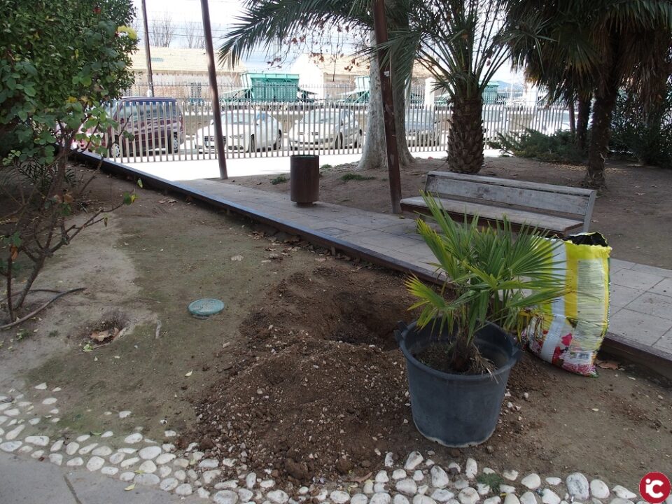El Ayuntamiento de Villena repoblará las zonas verdes de la ciudad con 820 nuevas plantas