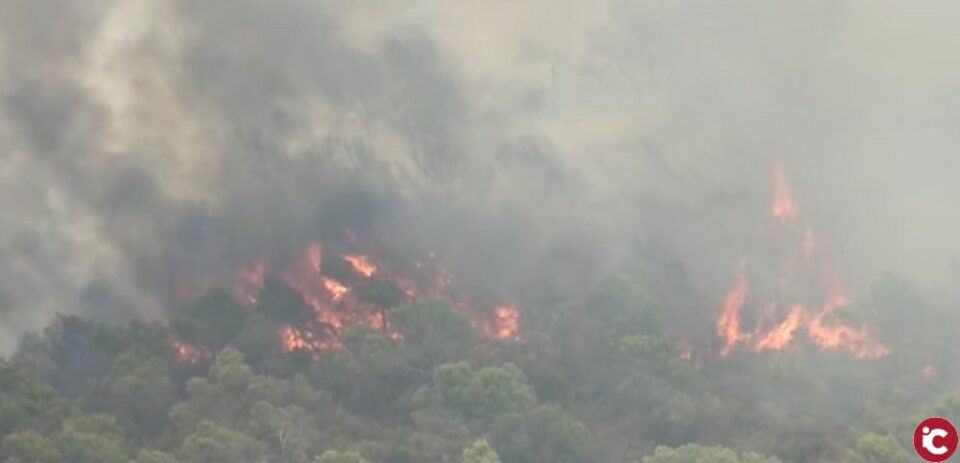Ahir es va donar per extingit l'incendi de Monòver
