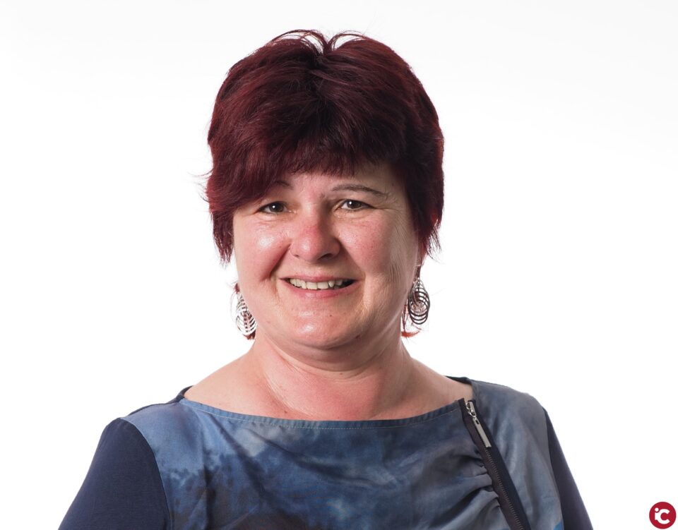 Los tres institutos de Petrer superan la media de la Comunitat Valenciana en las pruebas de la EBAU en la fase obligatoria