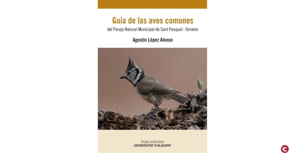 Catalogades més de noranta ocells en l'entorn del Paratge Municipal Protegit Sant Pasqual-Torretes