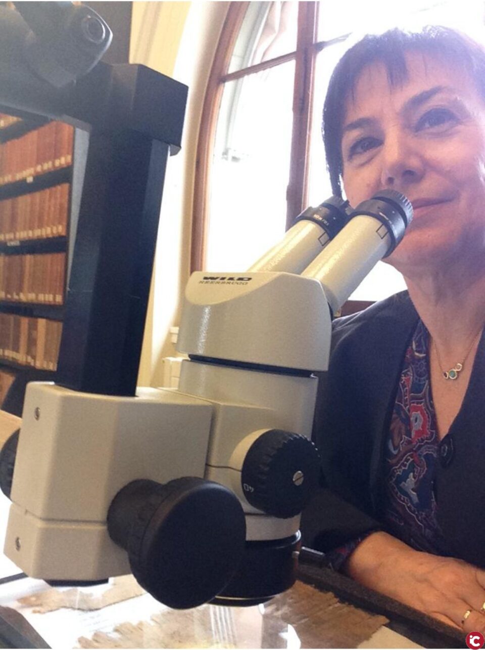 Una investigadora de la Universitat d'Alacant identifica les primeres novel·les de l'antiga Grècia