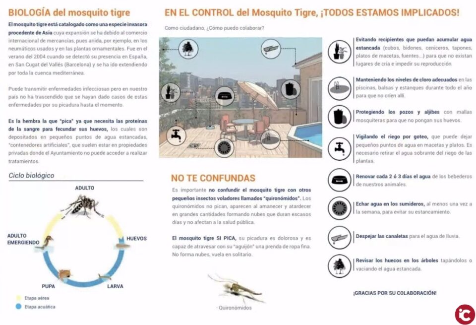 El Ayuntamiento de El Campello requiere a 50 propietarios que limpien sus propiedades y piscinas para evitar la proliferación de mosquitos