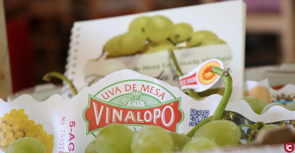 La Uva de Mesa Embolsada del Vinalopó es una fruta única en el mundo por su particular proceso de maduración
