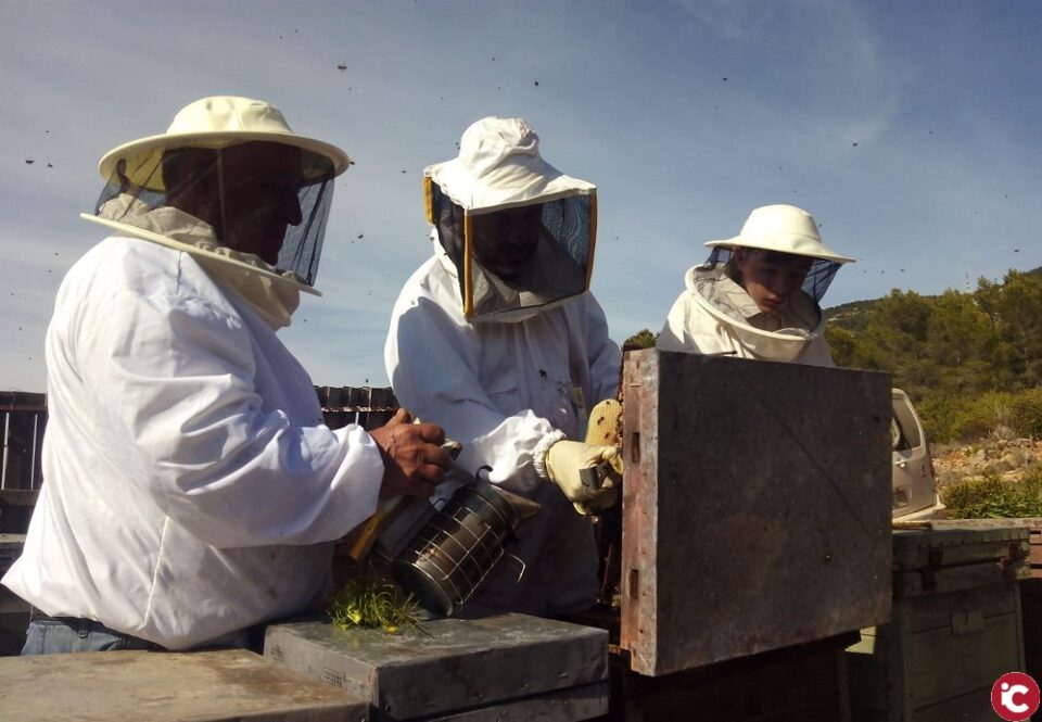 LA UNIÓ preveu un important descens en la producció de mel i unes pèrdues superiors als 6