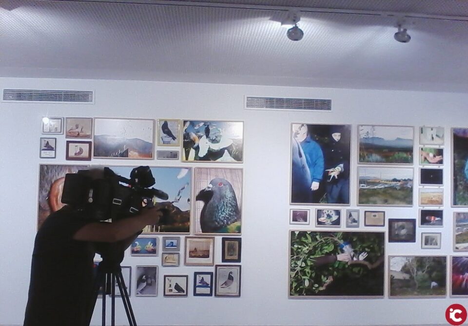 La exposición Estudio elemental del Levantede Ricardo Cases supera las 1.500 visitas en Las Cigarreras