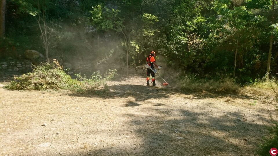 La nova Brigada Forestal intensifica les seues tasques durant el mes d'agost