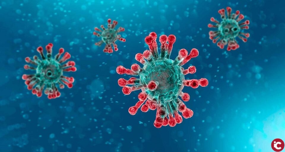 La Comunitat Valenciana suma 541 nuevos casos positivos desde la última actualización