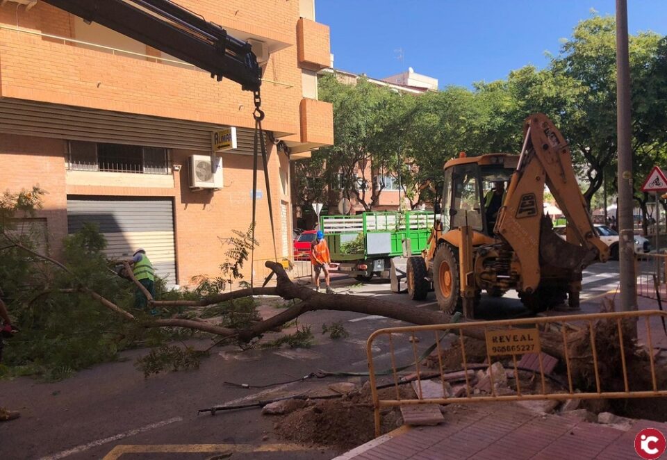 Comienzan las obras de reurbanización y acondicionamiento de la calle Pelayo