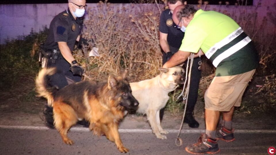 Los bomberos extinguen un virulento y complicado incendio industrial que calcina una empresa de palets en Alicante
