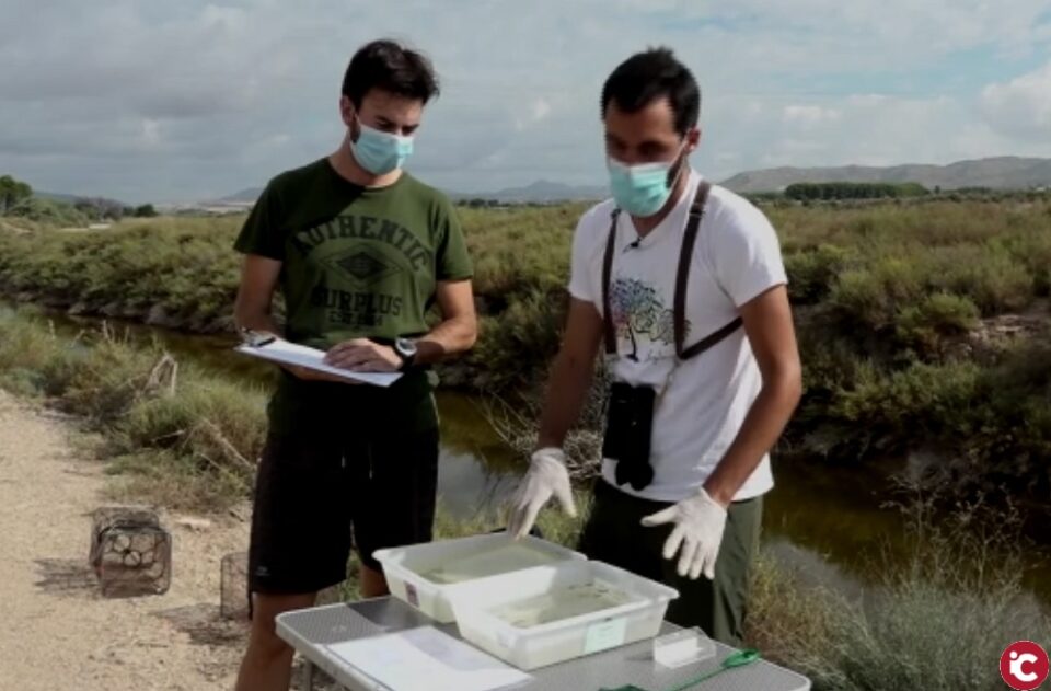 Conocemos la Asociación Salvatierra