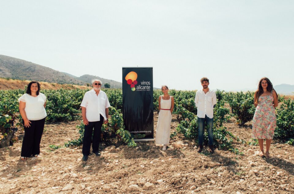 La vendimia alicantina lleva a sus seguidores en redes a la viña