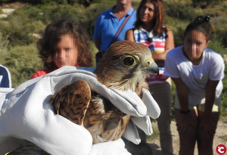 Medioambiente conmemora el "Día mundial de las aves" con una jornada de anillamiento