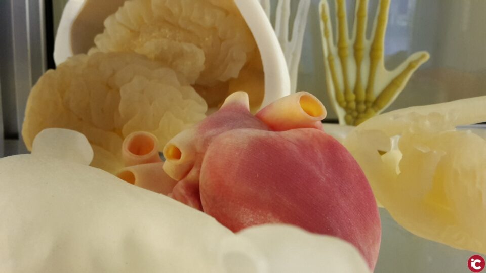 AIJU presenta un servicio de impresión 3D para replicar órganos y patologías concretas con precisión ultra realista pionero en Europa