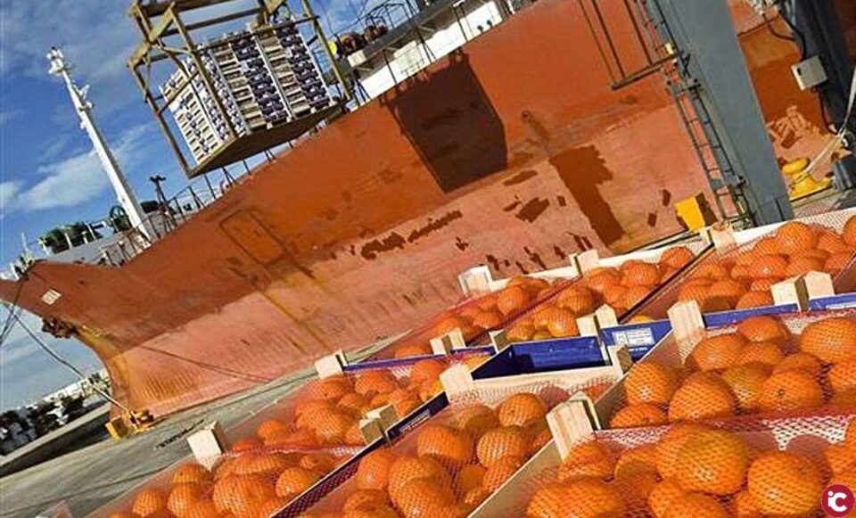 Les noves analítiques revelen la presència de substàncies actives com la carbendazima o el propiconazol que no poden emprar els llauradors europeus