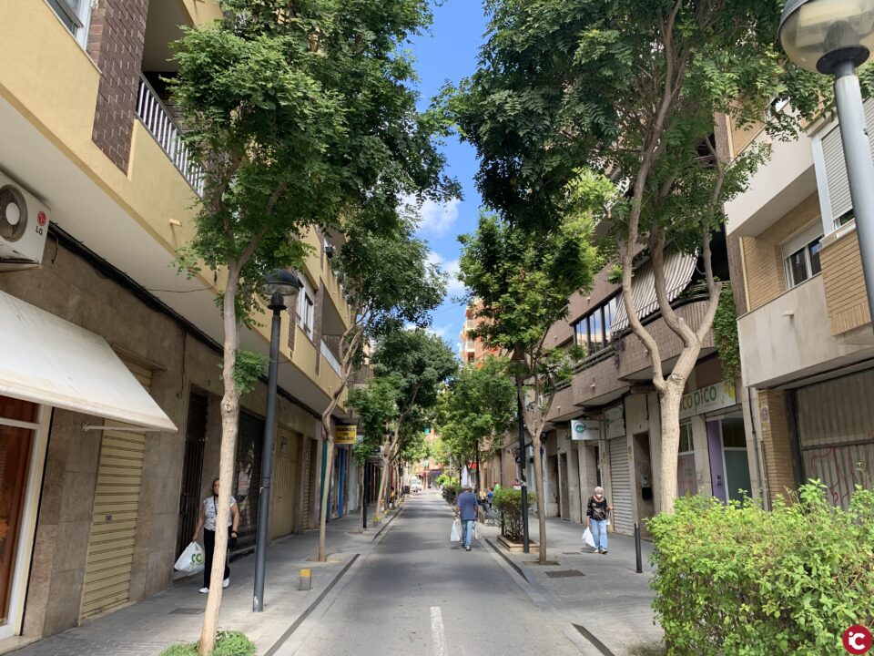 San Vicente aumenta su masa arbórea y llega a los 18.400 ejemplares y 350 hectáreas de zonas verdes