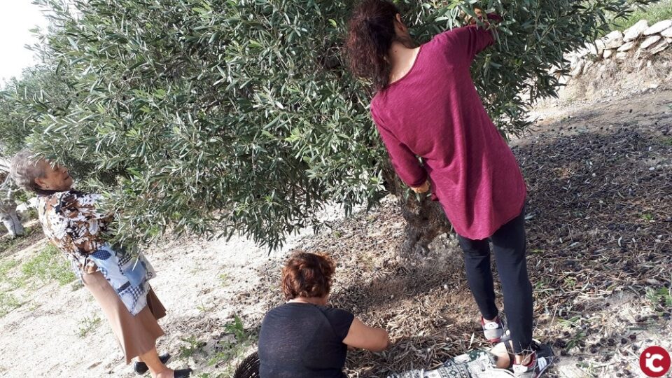 LA UNIÓ de Llauradors i Ramaders assenyala que la pandèmia no pot ser l'excusa per a retrocedir la dona rural en drets
