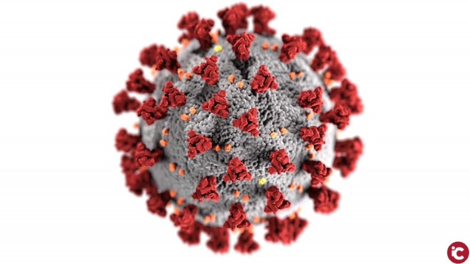 Barceló: Frenar el avance del virus depende de la máxima colaboración de la ciudadanía