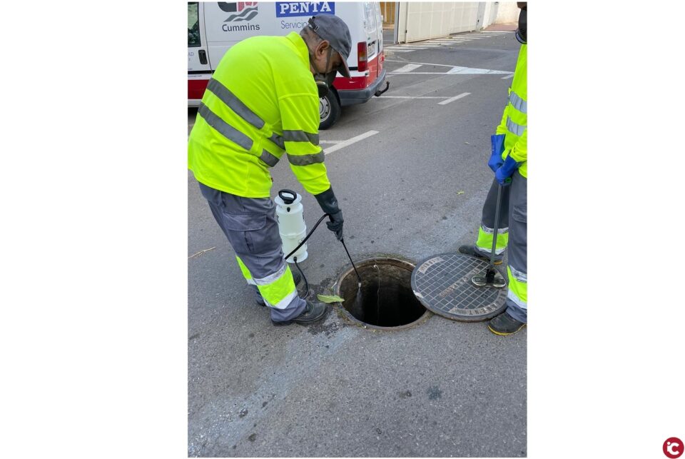 Campaña de desratización