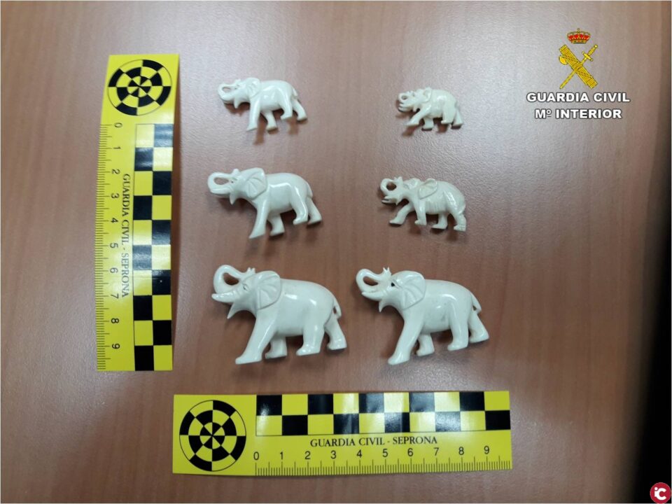 La Guardia Civil interviene 66 objetos de marfil de procedencia ilegal valorados en casi 4.000 euros