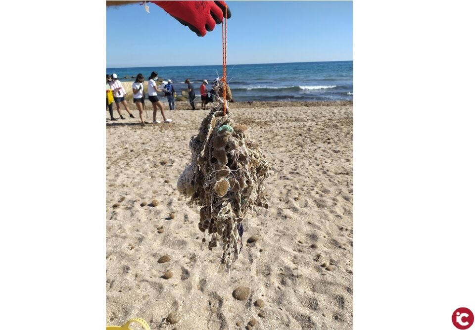 Un grup de voluntaris arreplega més de 21 quilos de deixalles a la platja alacantina d'Aigua Amarga