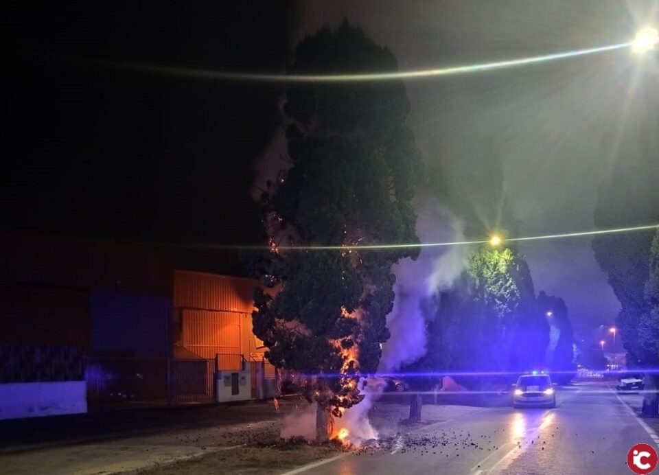 La Policía Local investiga dos incendios originados en un árbol y un vehículo esta madrugada en Alicante