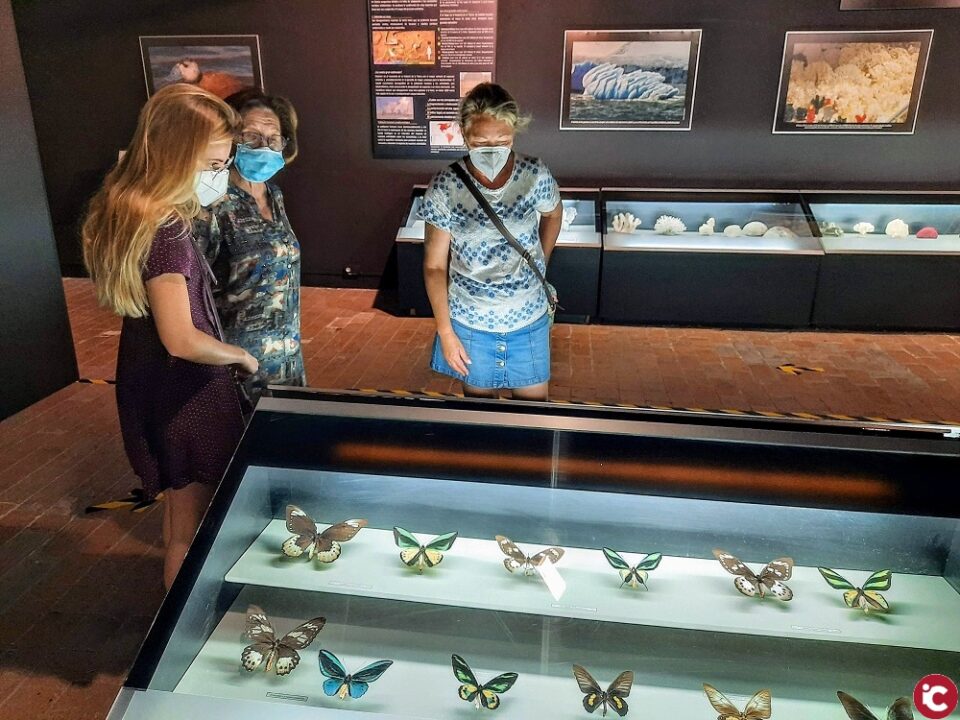 El Museo de la Biodiversidad renovará mobiliario