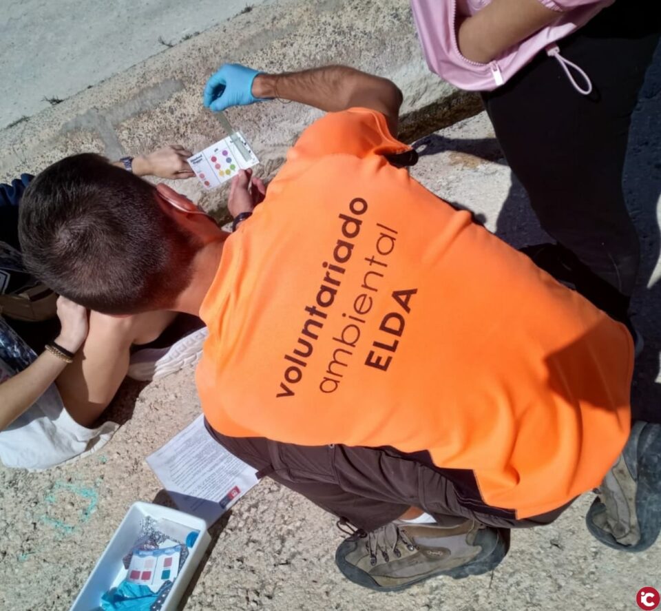 Medio Ambiente pone en marcha nuevas actividades del Voluntariado Ambiental de Elda para los meses de noviembre y diciembre