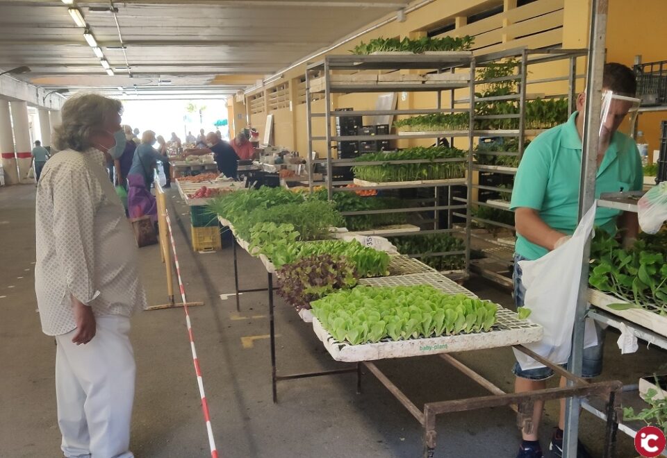 Limitación al 50% de puestos