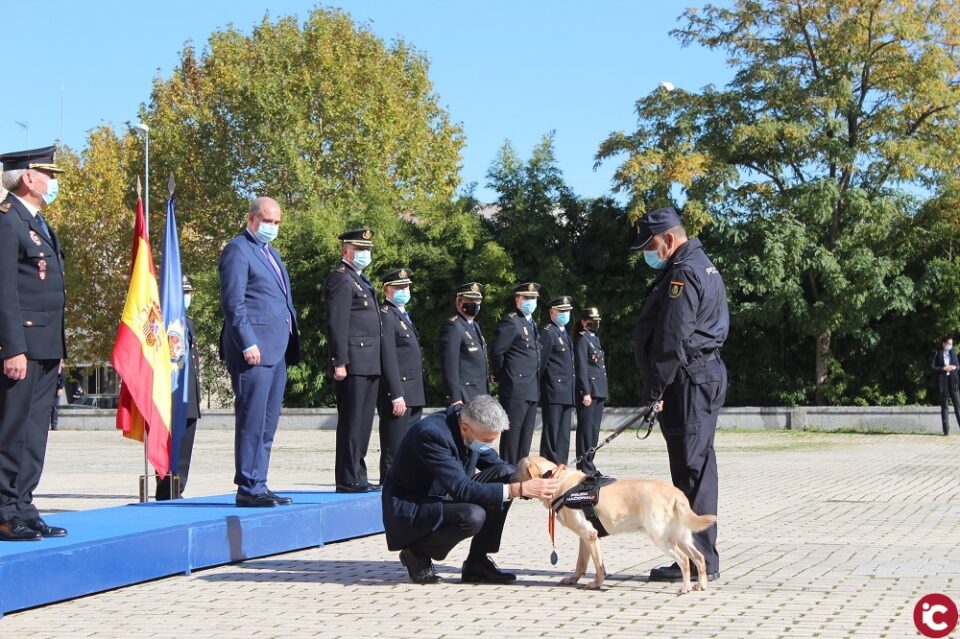 El ministro del Interior preside el acto de condecoración a seis canes de la Unidad de Guías Caninos de la Policía Nacional