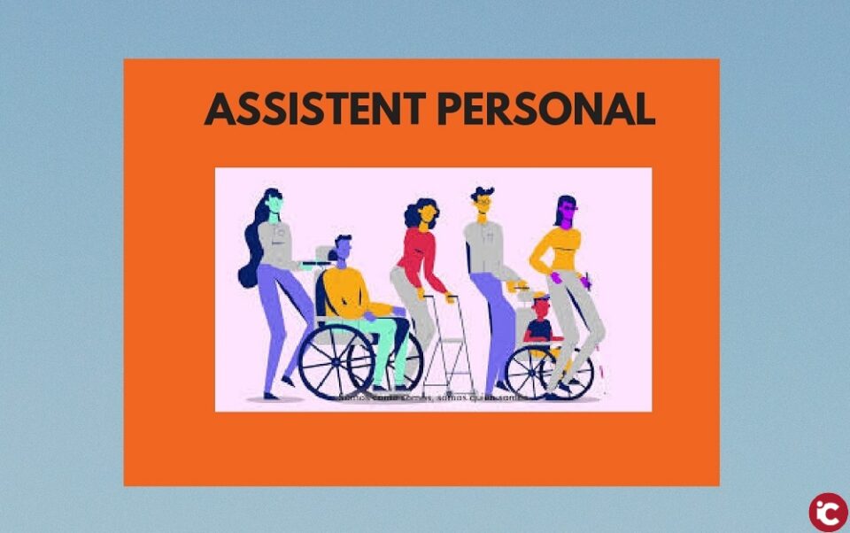 Coordinadora de les Plataformes en Defensa de la Llei de Dependència del País Valencià