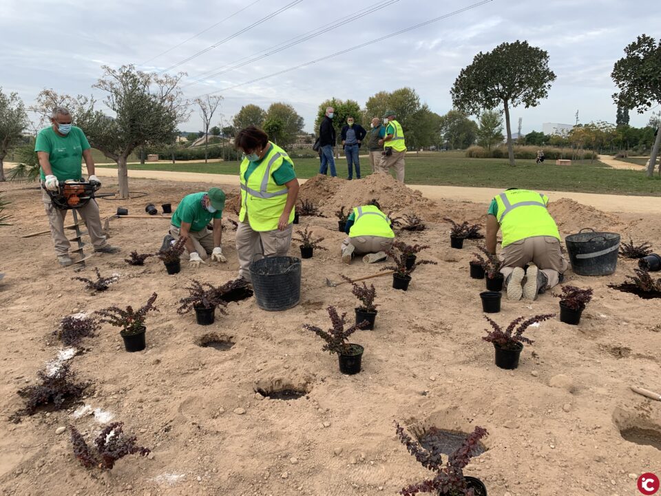 El alumnado del Taller de Empleo planta 600 arbustos y diseña nuevos parterres en el parque Presidente Adolfo Suárez