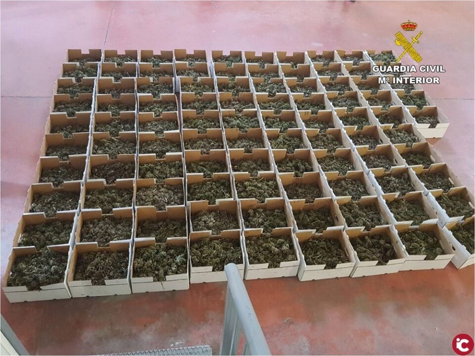 La Guardia Civil interviene 500 kilogramos de marihuana a una empresa que fingía comerciar legalmente con cáñamo