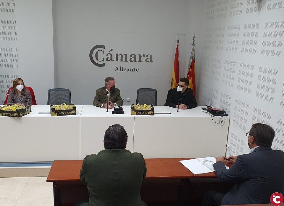 Novelda y Monforte presentan a la Cámara su proyecto de puerto seco
