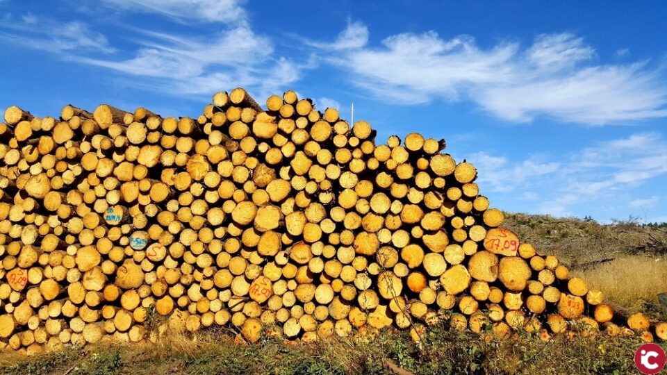 Un estudi internacional adverteix que una elevada intensitat de l'ús de la terra redueix els efectes beneficiosos de la biodiversitat