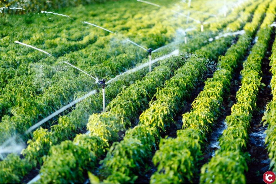 LA UNIÓ aconsegueix situar en els Pressupostos Generals de l'Estat el contracte elèctric de temporada per al regadiu