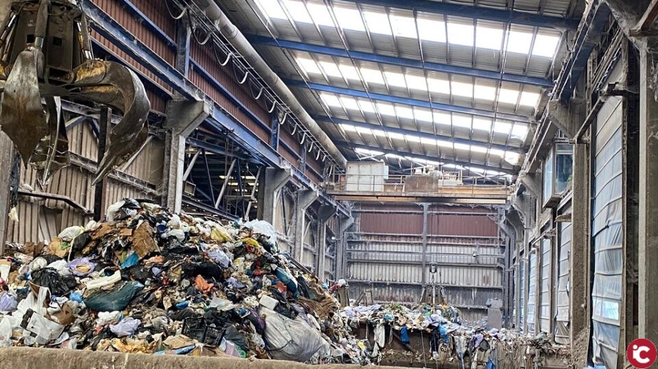 La concejalía de Medioambiente