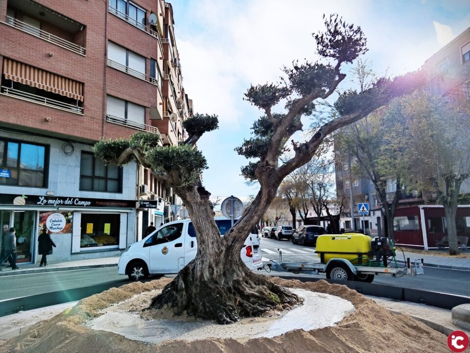 El Ayuntamiento de Elda dedica la nueva rotonda de la calle La Cruz al Deportivo Eldense por su centenario