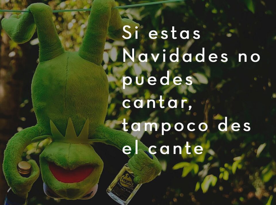 Si esta Navidad no puedes cantar