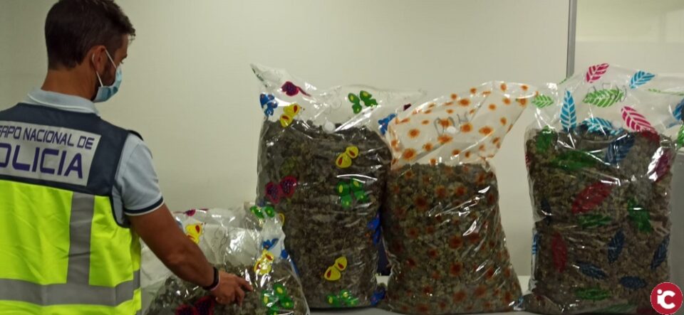 La Policía Nacional ha detenido a ocho personas en distintas operaciones por tráfico de drogas durante la campaña de navidad