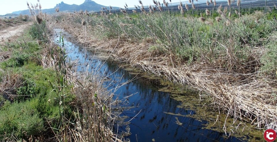 La importancia del agua es el nuevo de Villena Viva