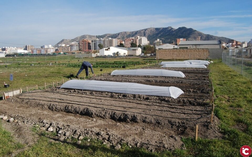 La Comisión de Urbanismo aprobará la nueva ordenanza de Huertos Urbanos