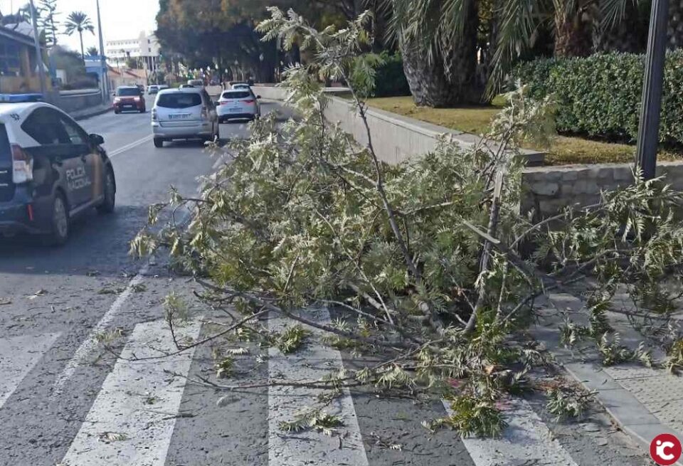 Más de cuarenta emergencias son atendidas en el dispositivo de Policía Local y Bomberos del SPEIS por las fuertes rachas de viento en Alicante