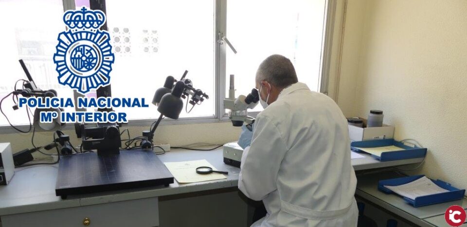 La Policía Nacional ha detenido a un fugitivo neerlandés buscado por delito de estafa de 450.000 euros